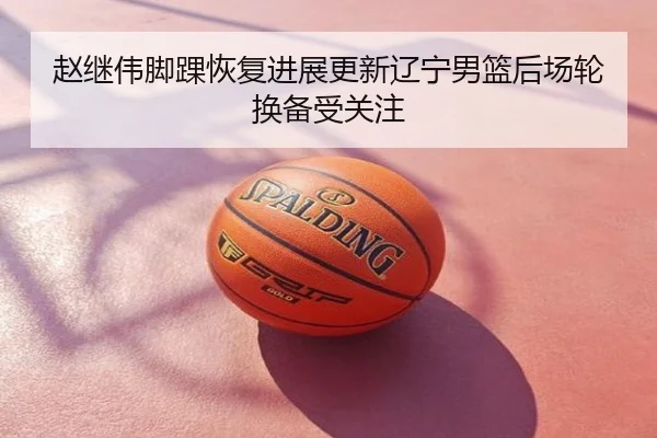 赵继伟脚踝恢复进展更新辽宁男篮后场轮换备受关注
